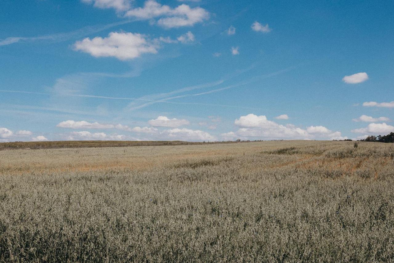 Agroturystyka Pod Debem Lagow  Exterior photo